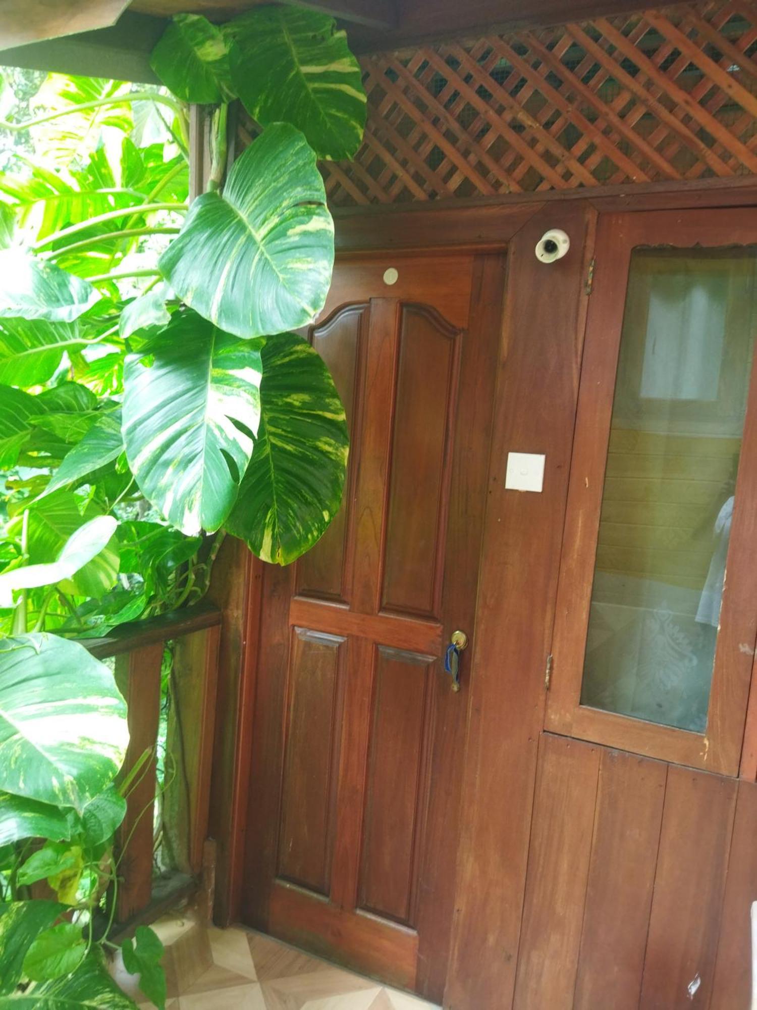 ディックウェラGold Ocean Houseアパートメント 部屋 写真